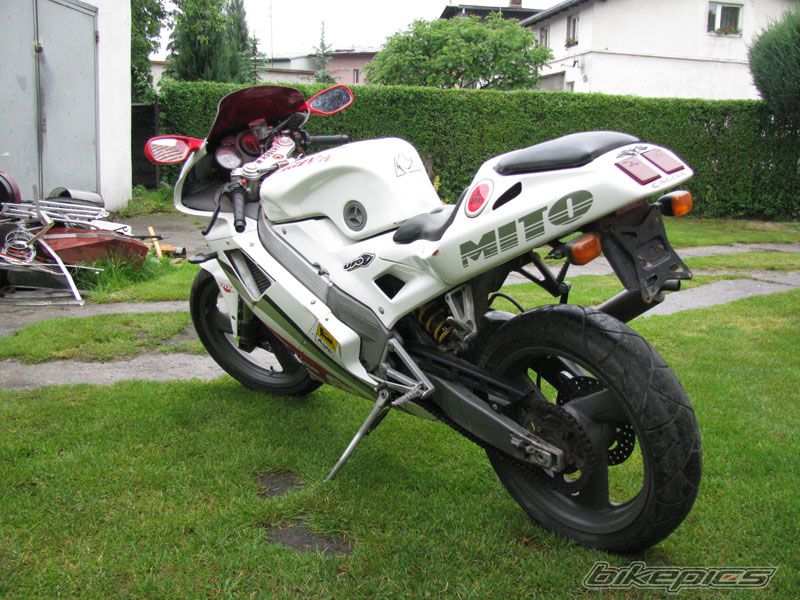 Photo 1298216