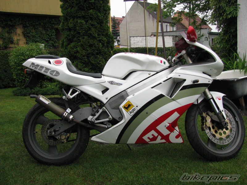 Photo 1298220