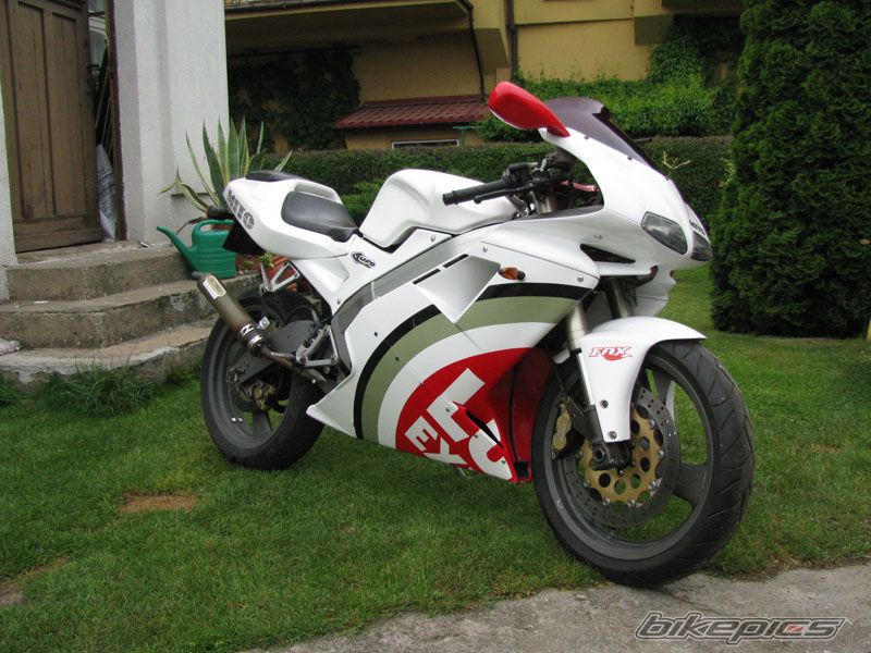 Photo 1298221
