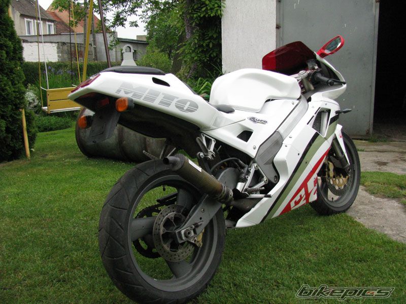 Photo 1298223