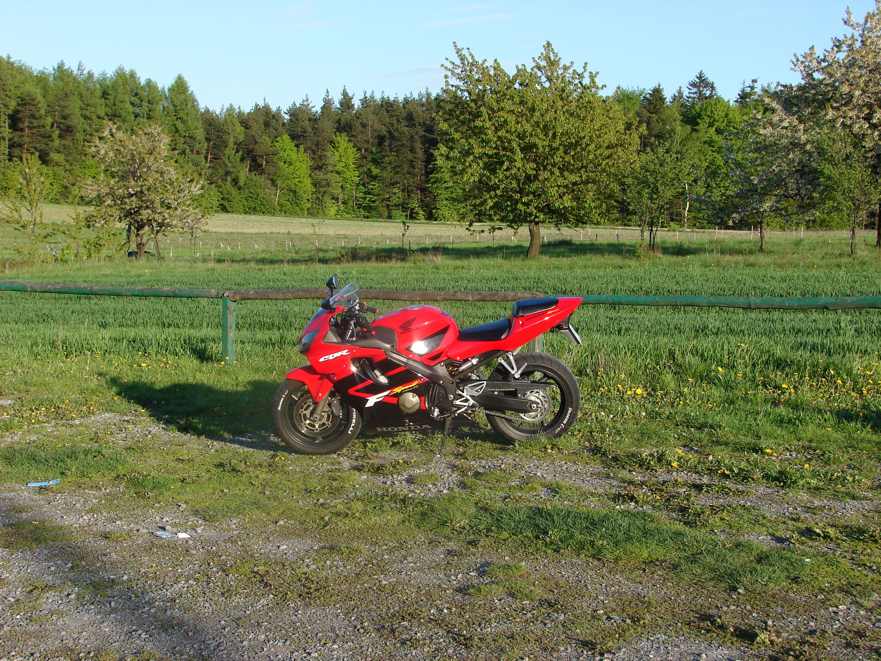Photo 1298234
