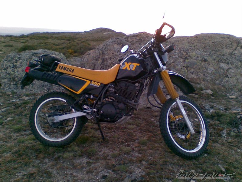 Photo 1298238