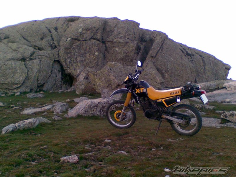 Photo 1298239