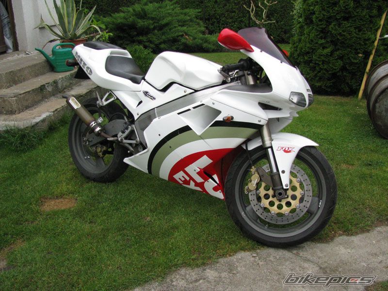 Photo 1298242