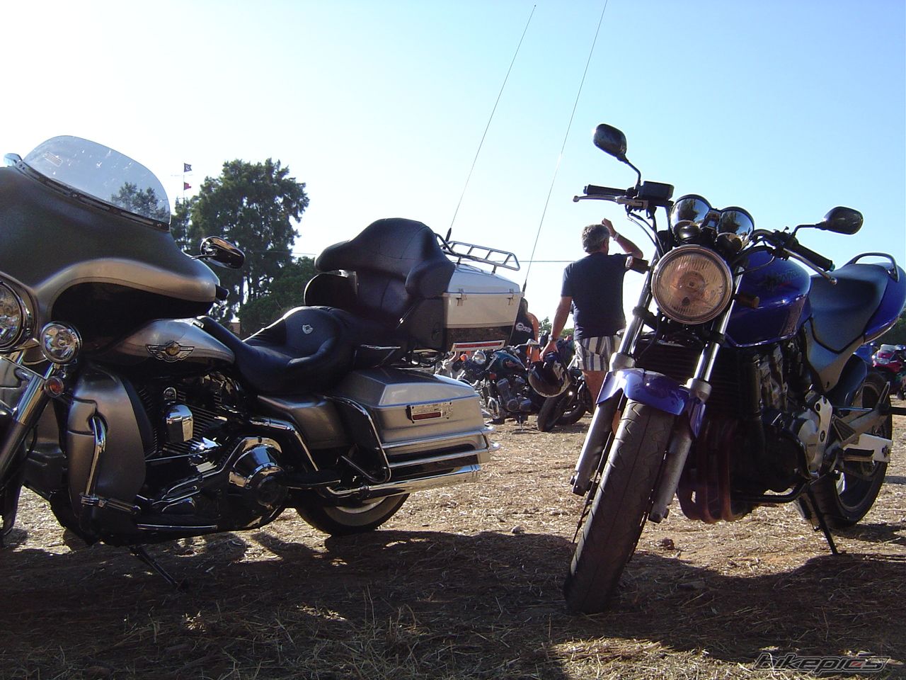 Bike Photo 1298289