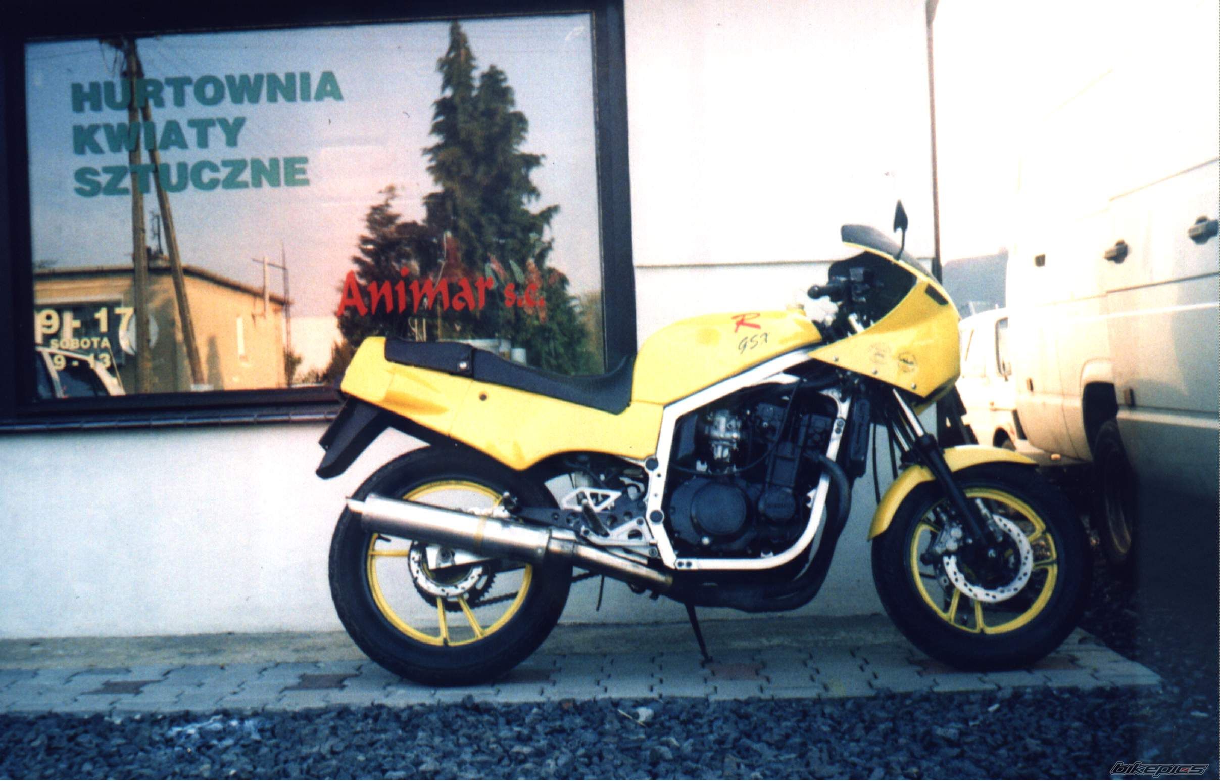 Photo 1298431