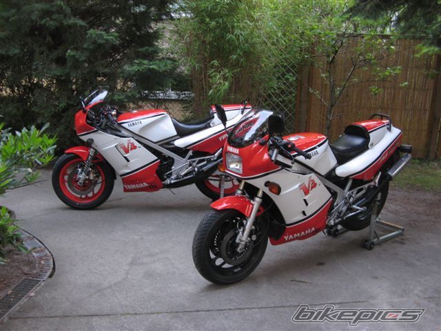 Photo 1298446
