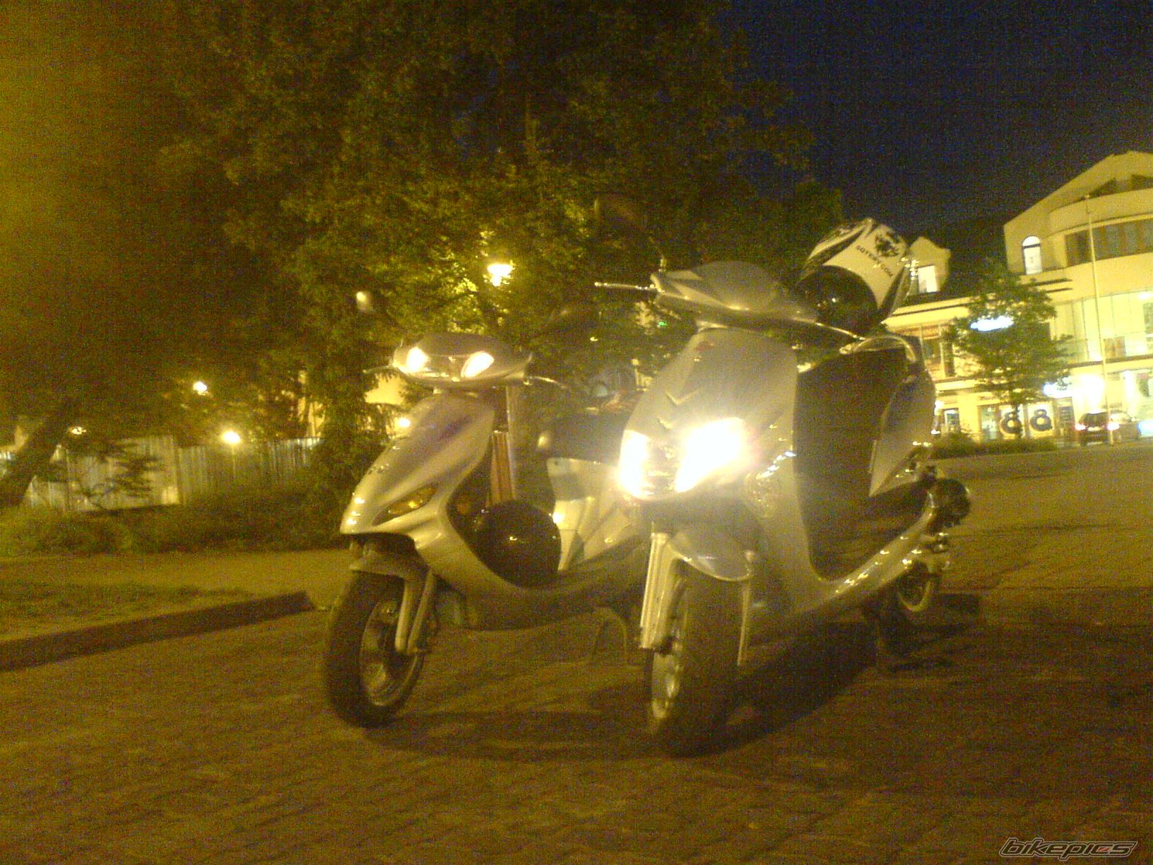Photo 1298453