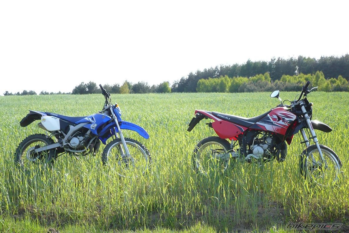 Photo 1298466