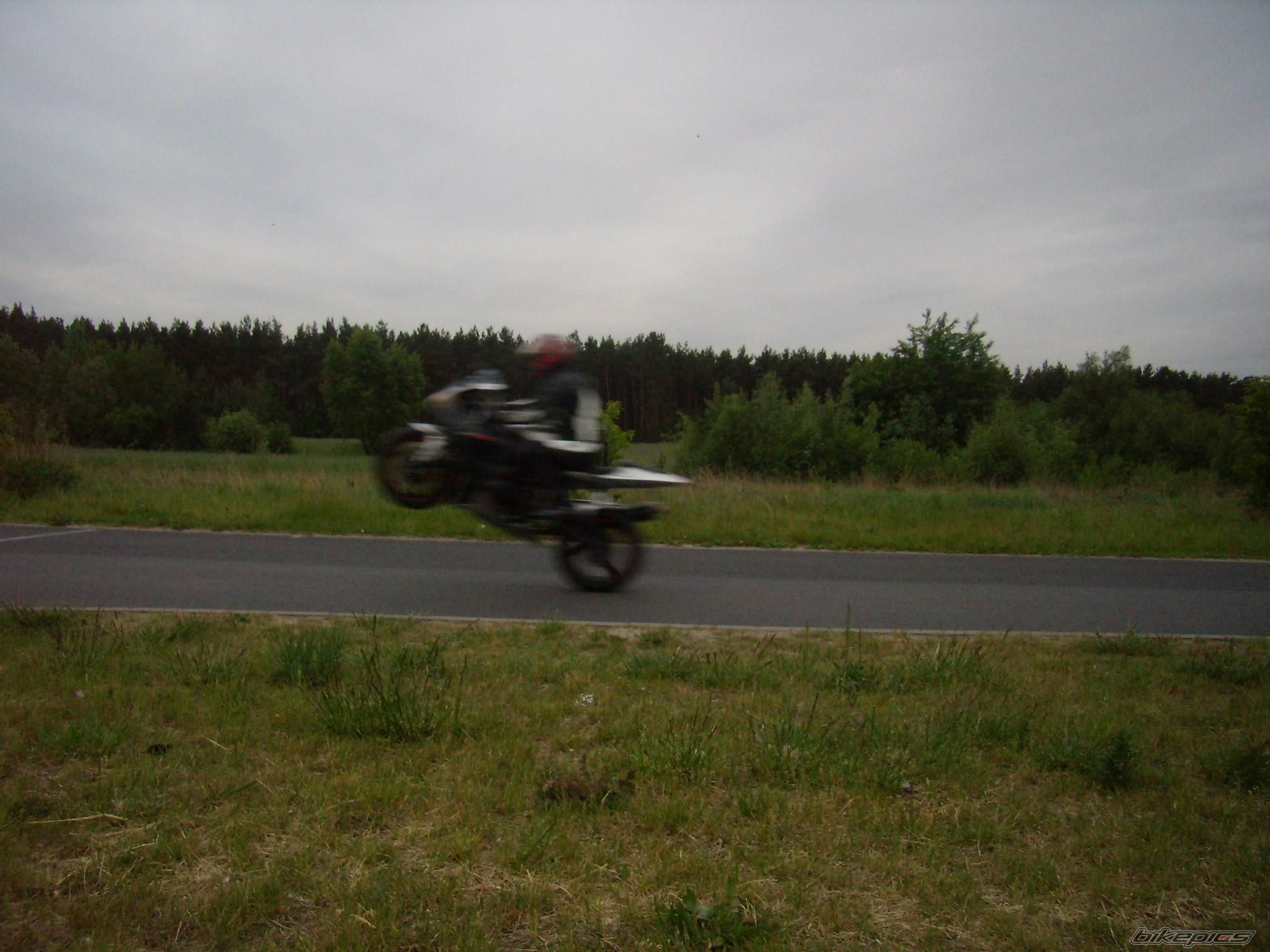 Photo 1298482