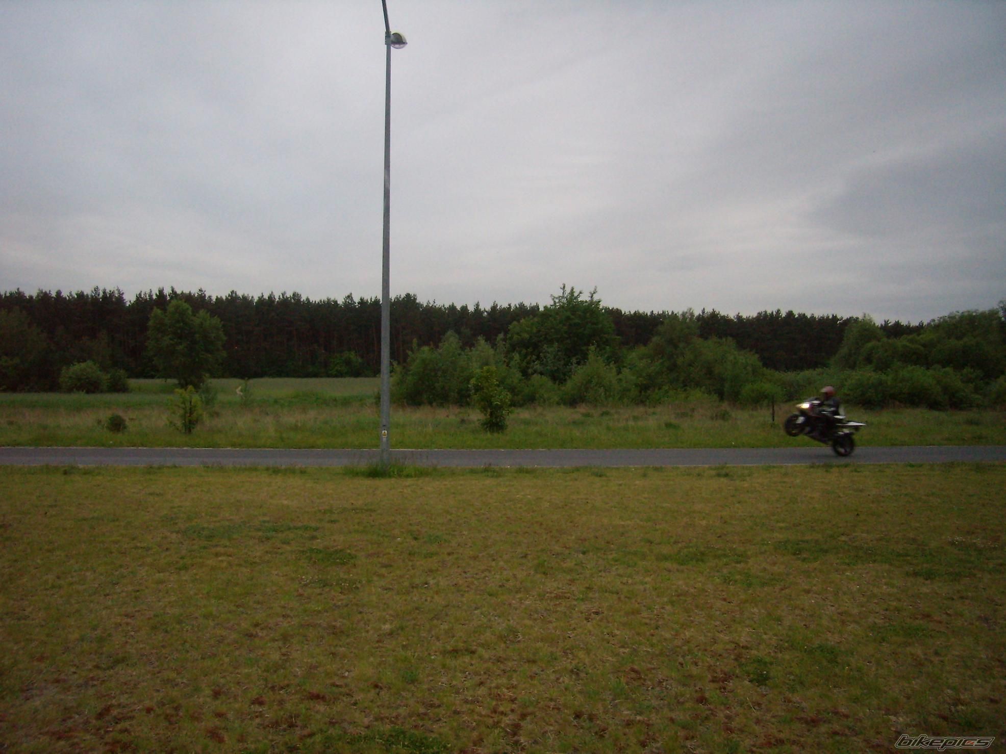 Photo 1298483
