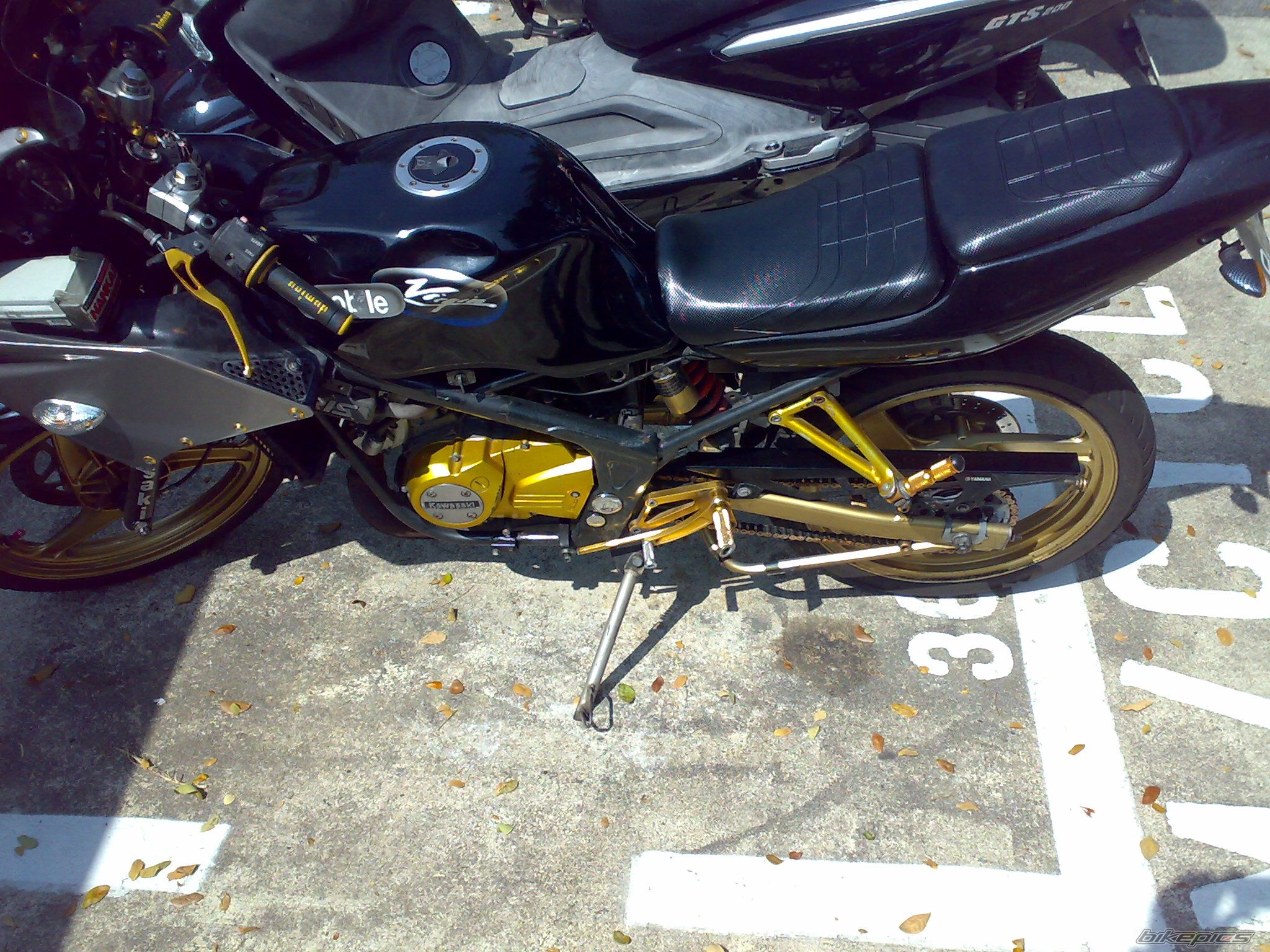 Photo 1298495