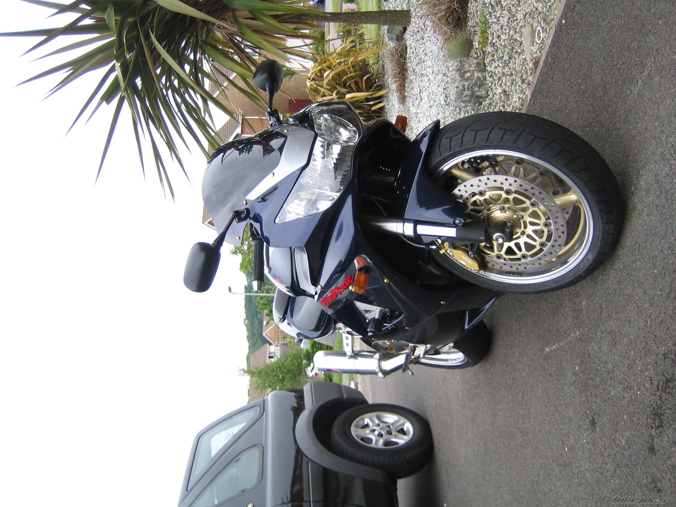 Photo 1298520