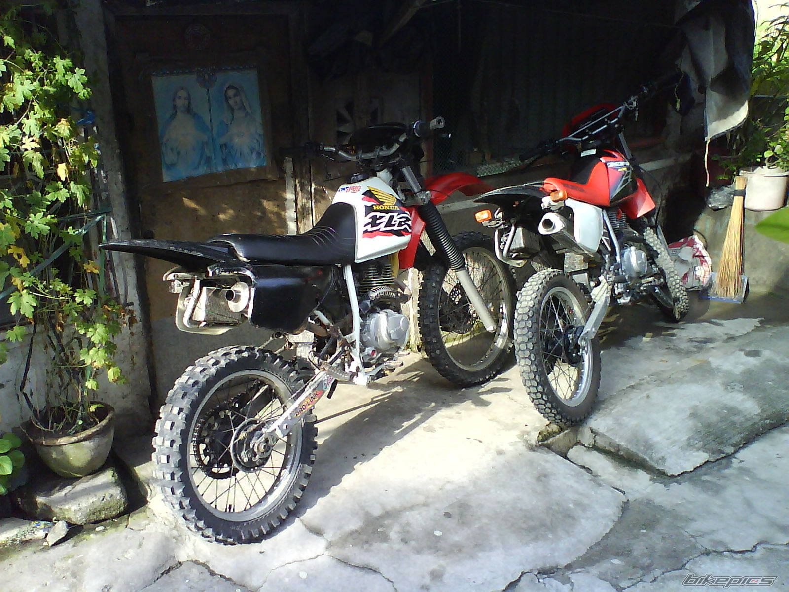 Photo 1298539
