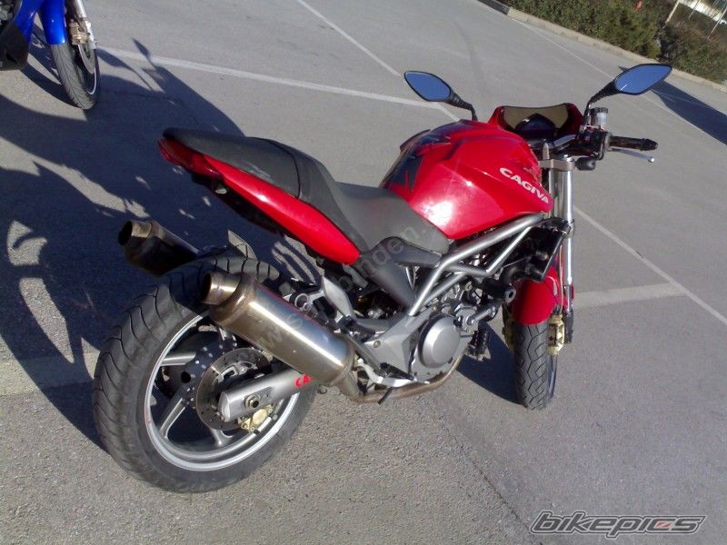Photo 1298569