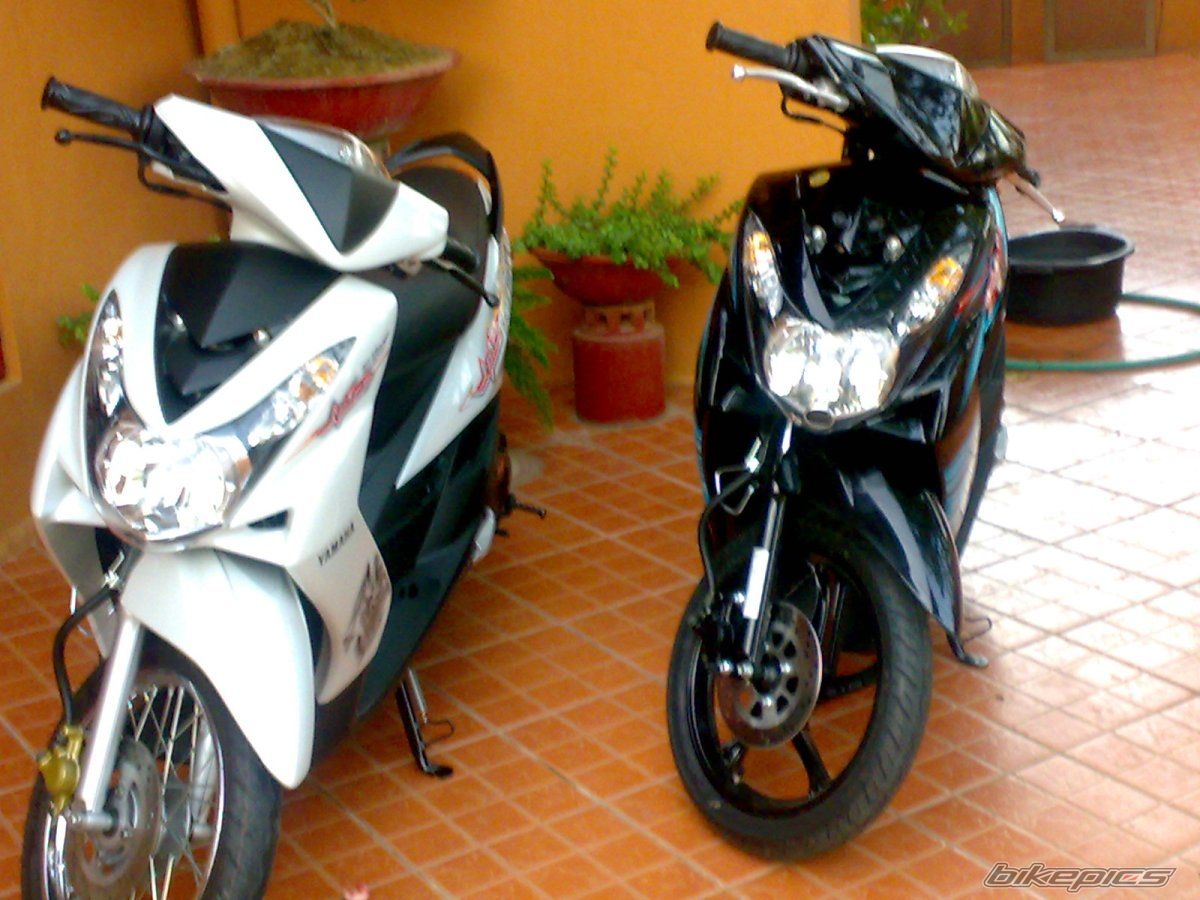 Photo 1298588