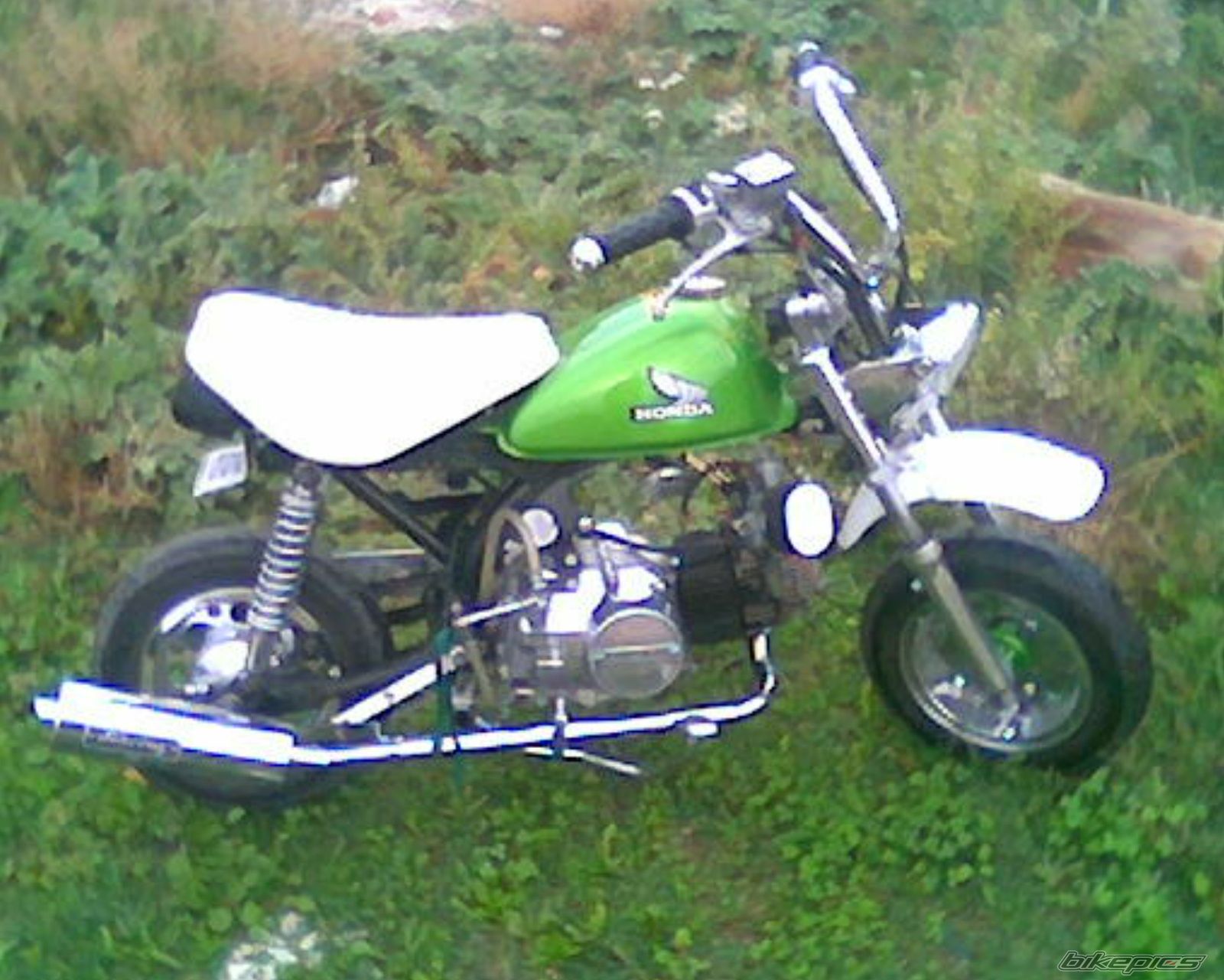 Photo 1298669
