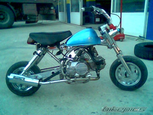 Photo 1298671