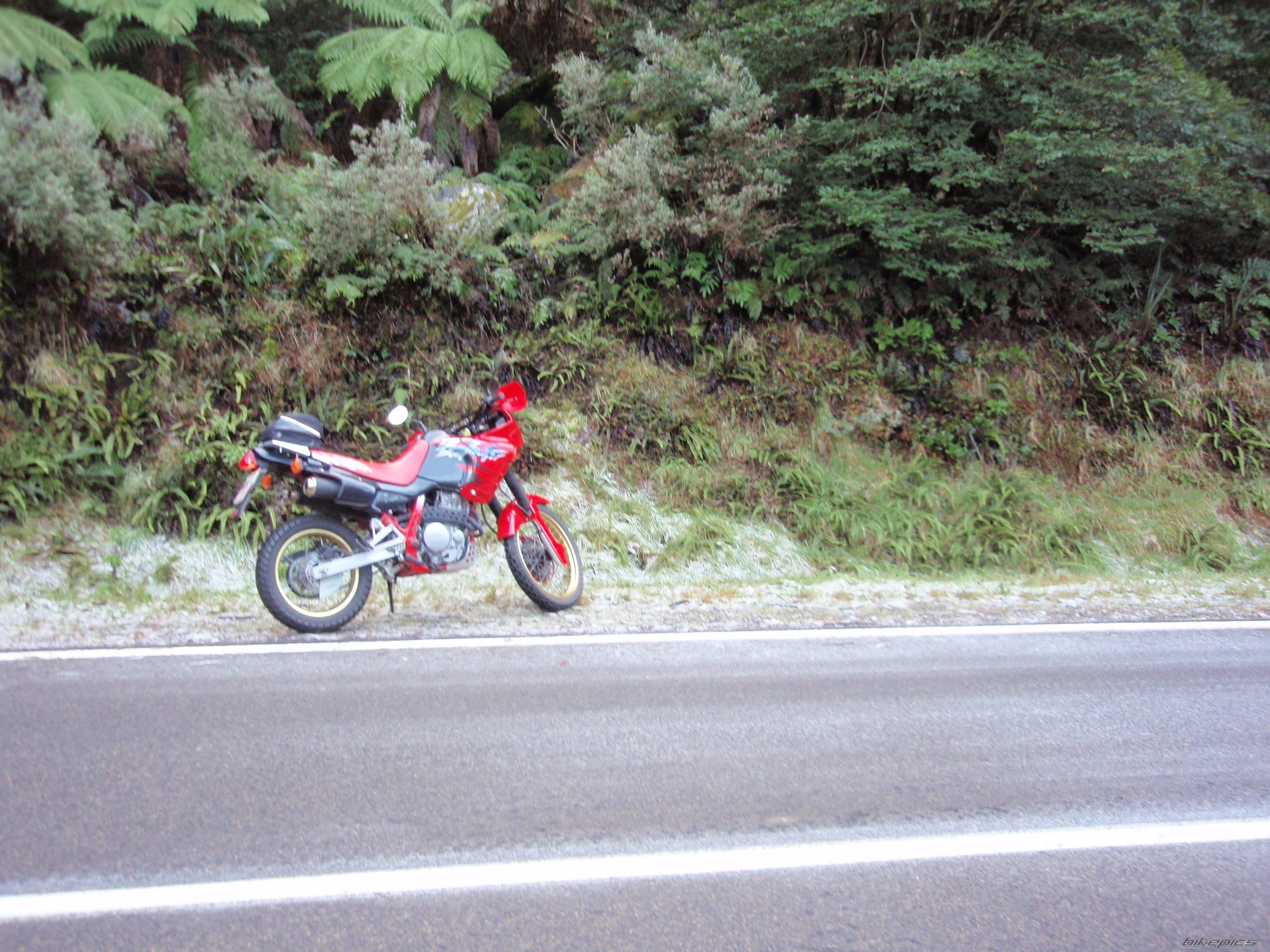 Photo 1298683