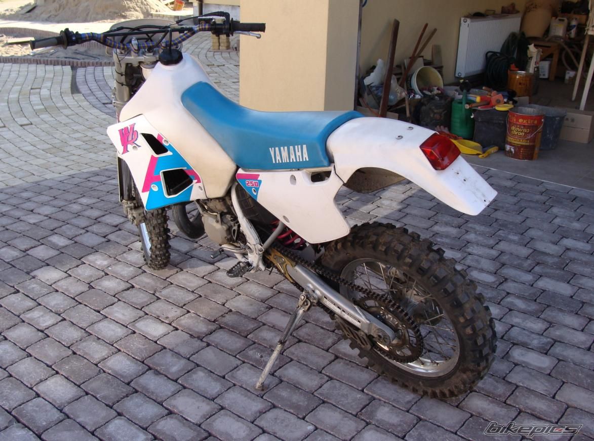 Photo 1298736