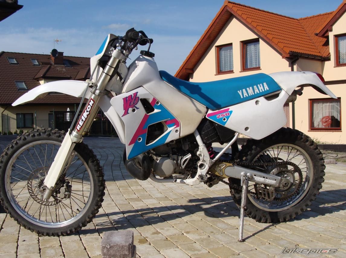 Photo 1298737