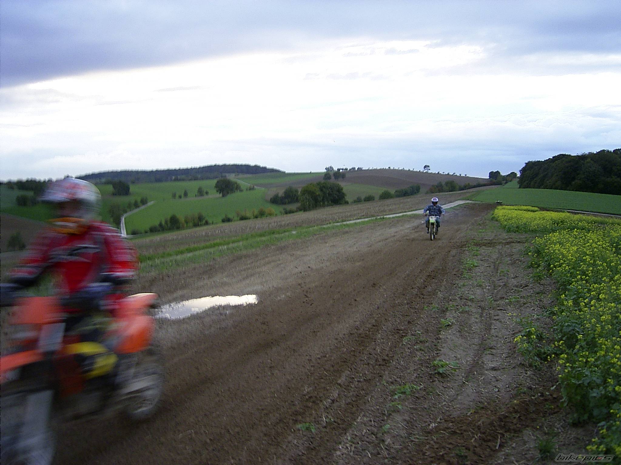 Photo 129874