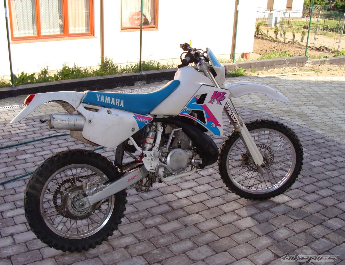 Photo 1298741