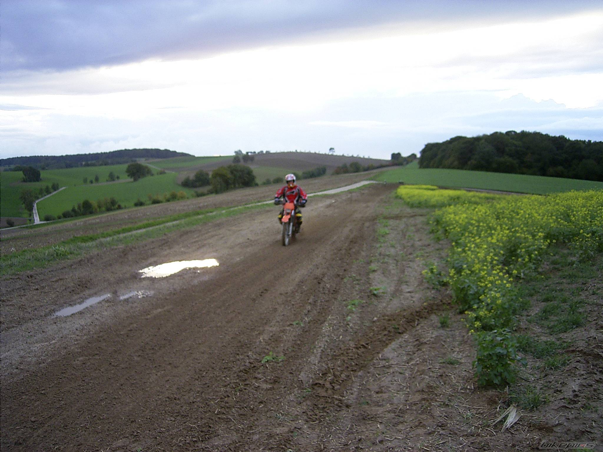 Photo 129875