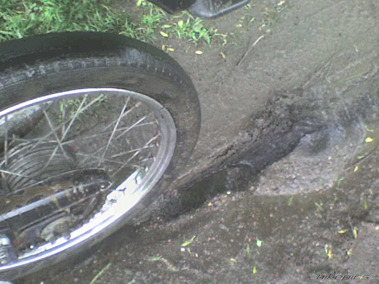 Photo 1298767