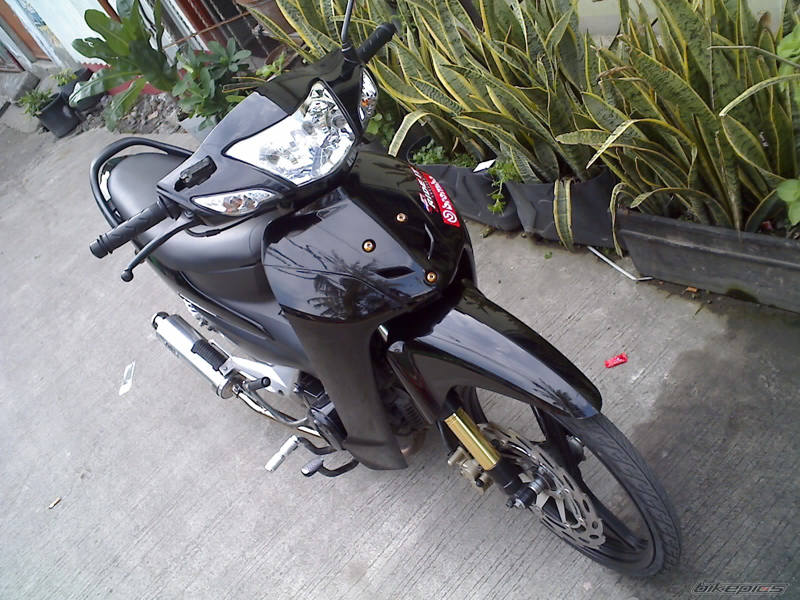 Photo 1298811
