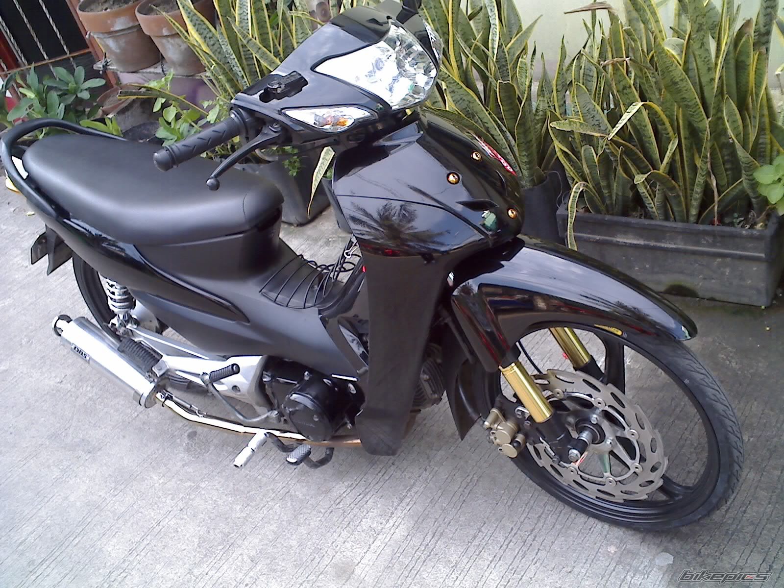 Photo 1298813