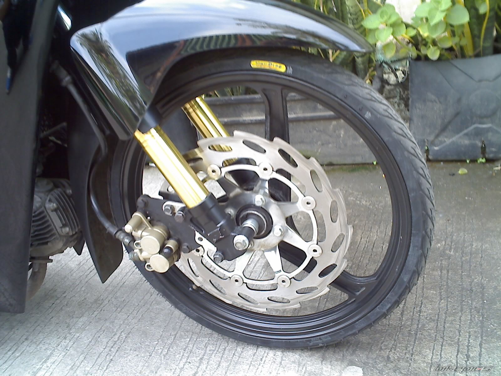Photo 1298815