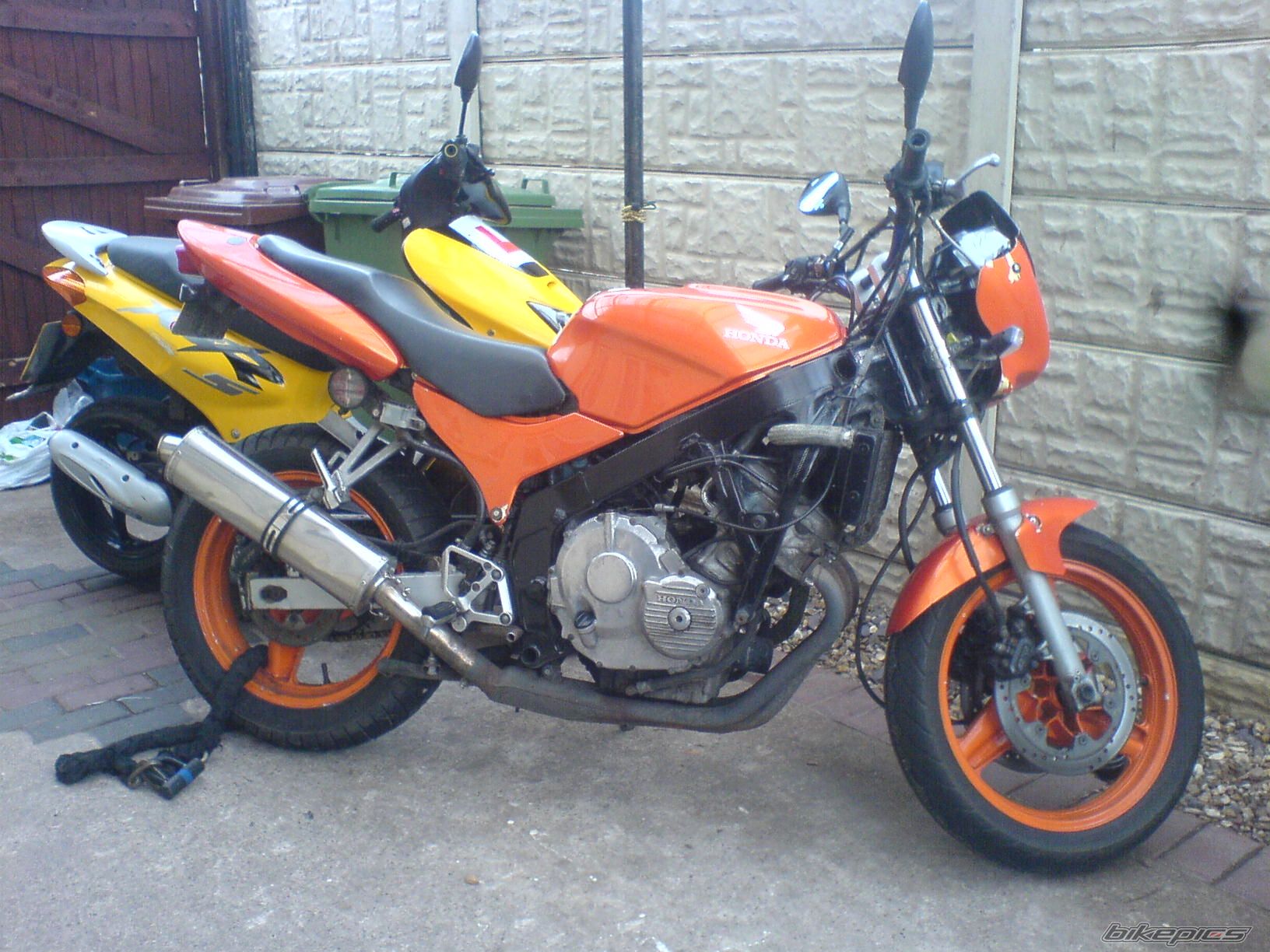 Photo 1298856