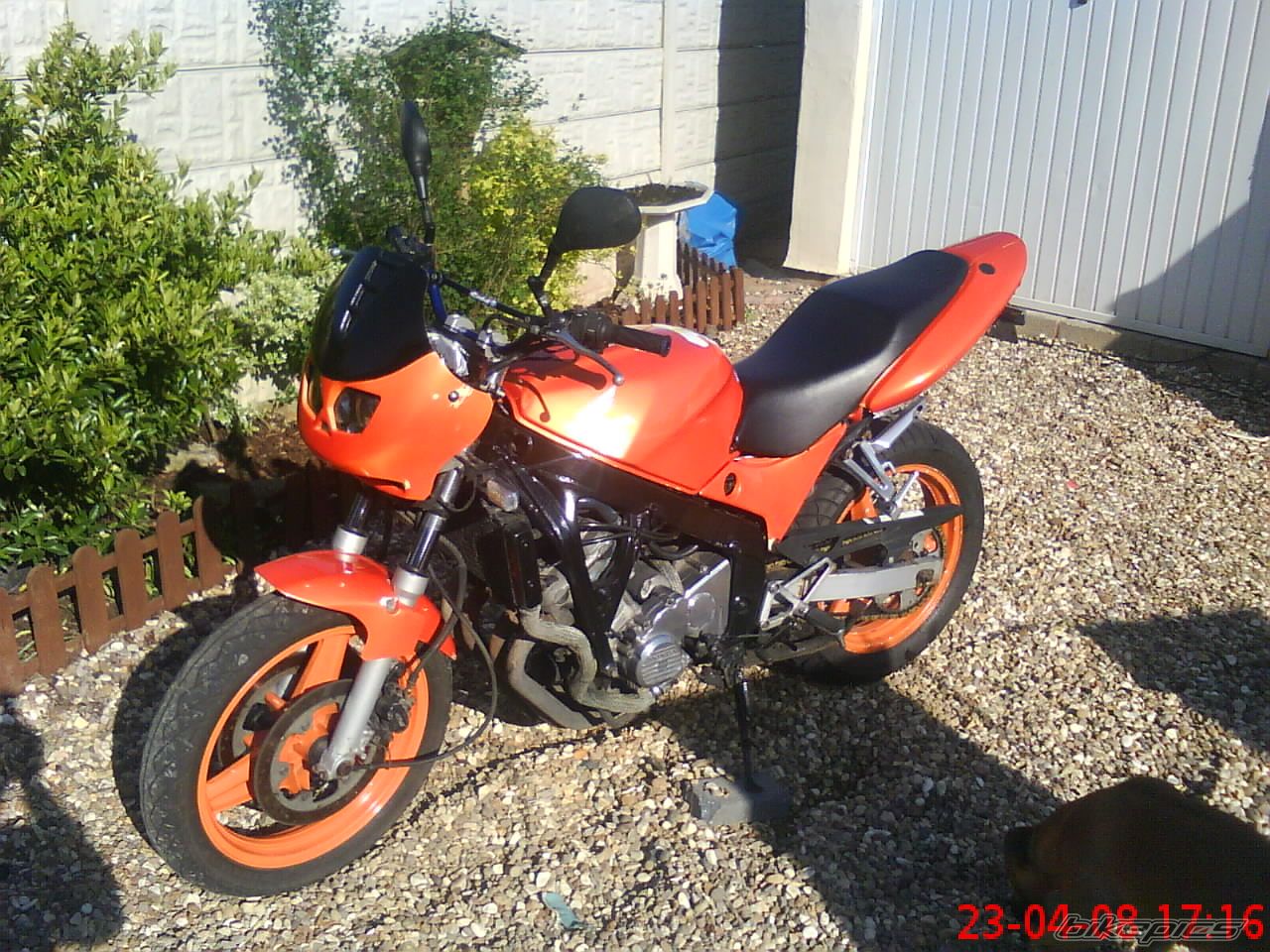 Photo 1298857