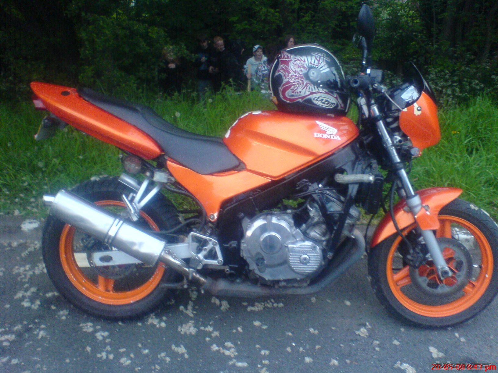 Photo 1298866