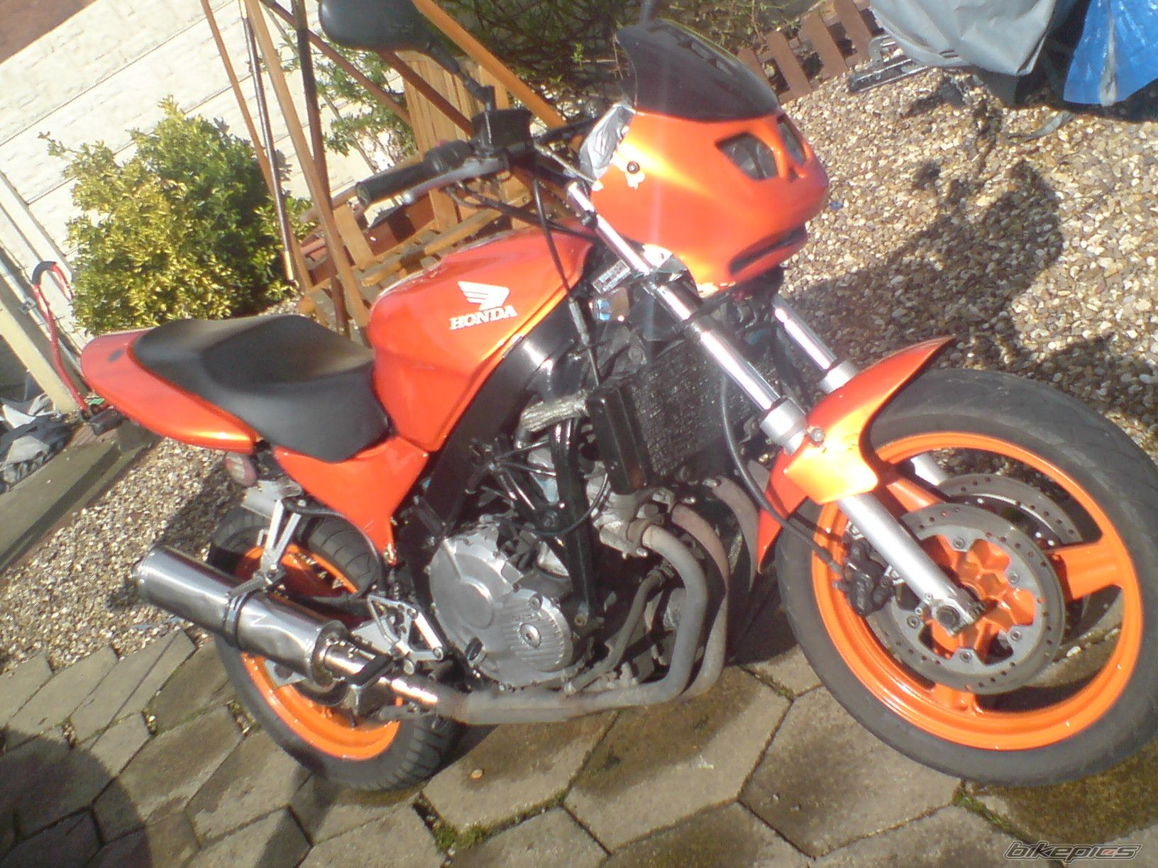 Photo 1298868