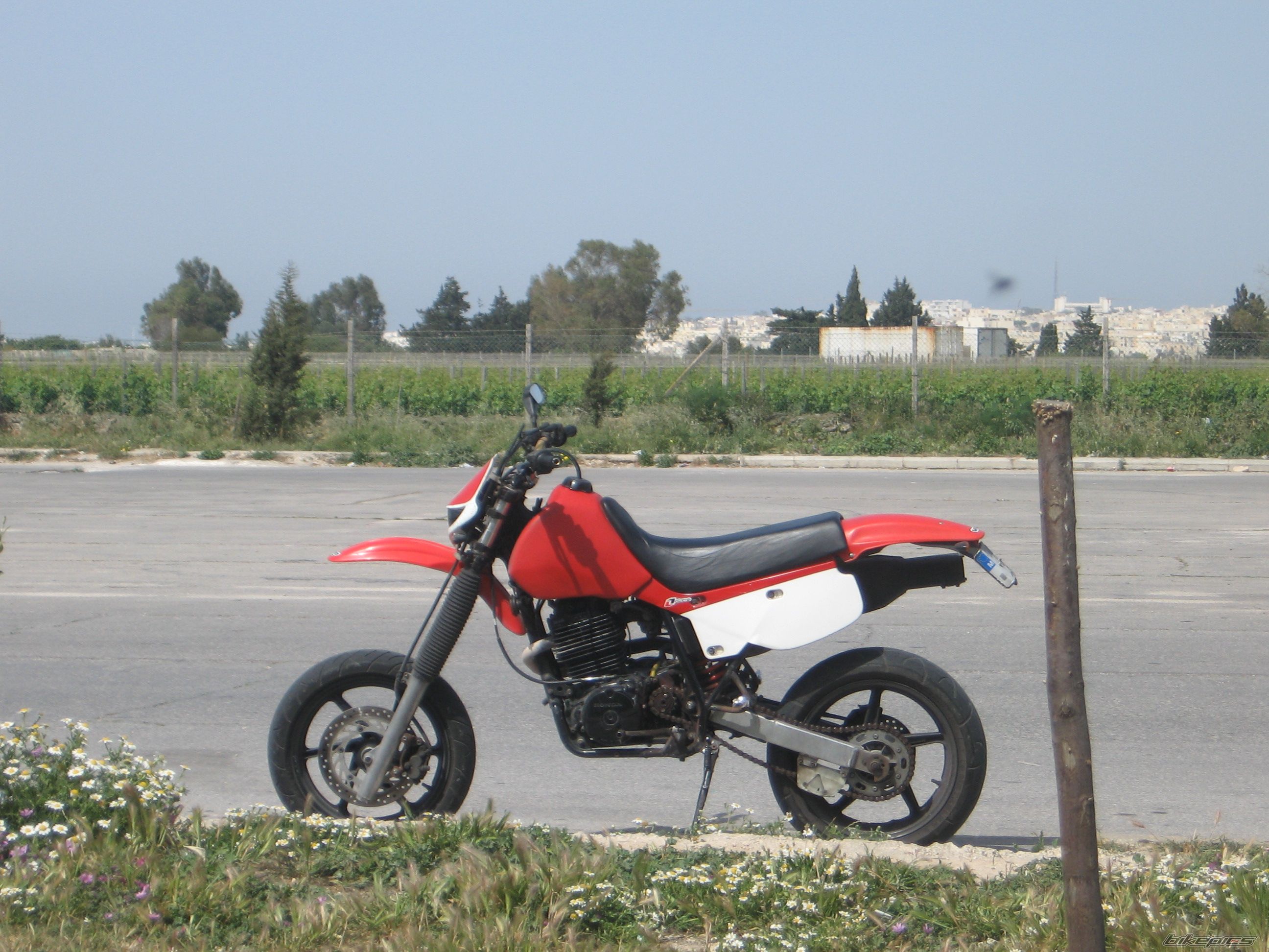 Photo 1298893