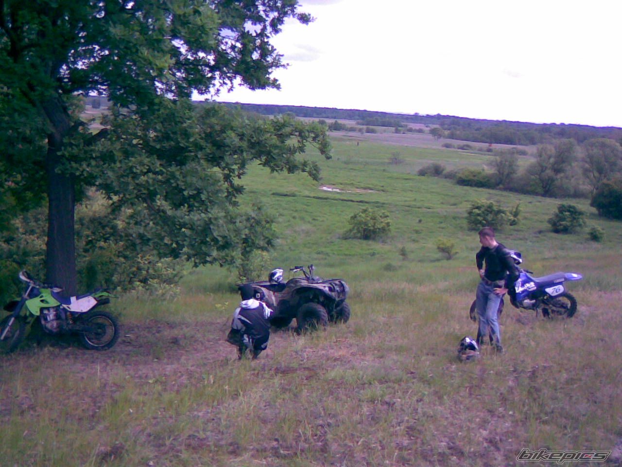 Photo 1298965