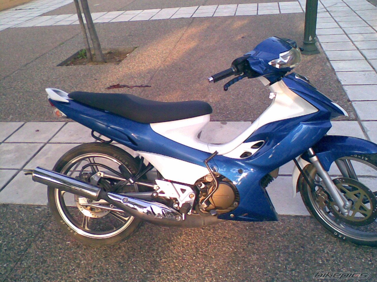 Photo 1299039