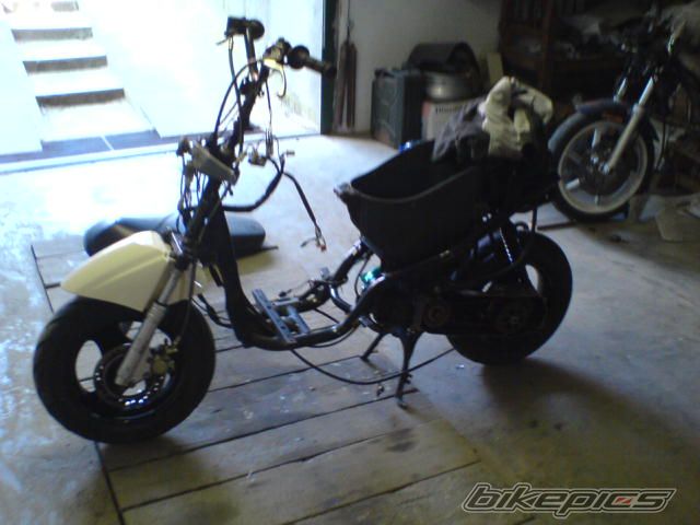 Photo 1299056