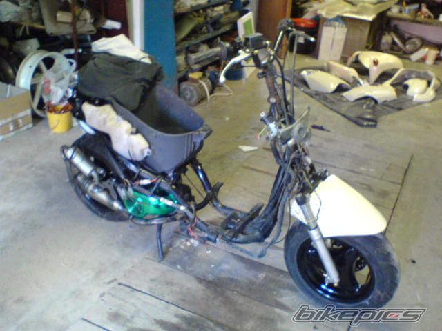 Photo 1299058