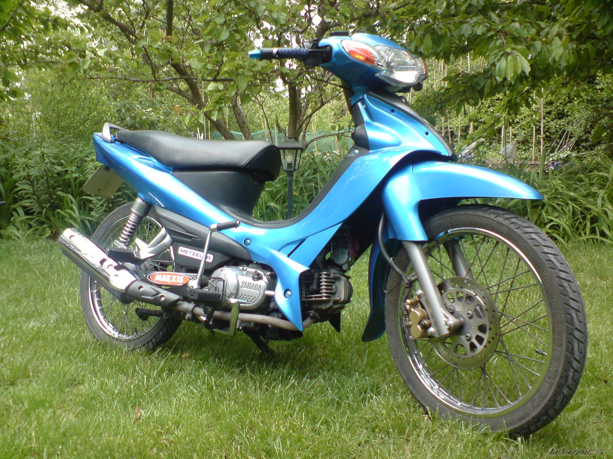 Photo 1299068