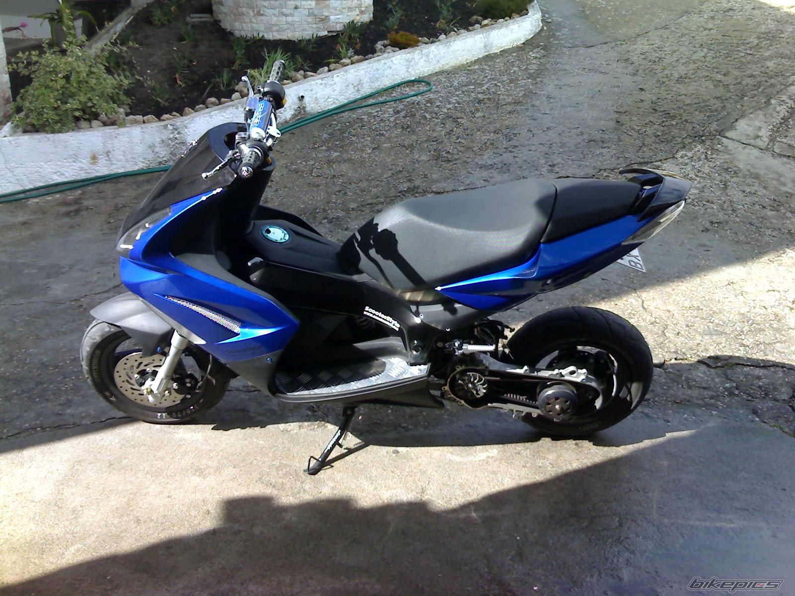 Photo 1299108