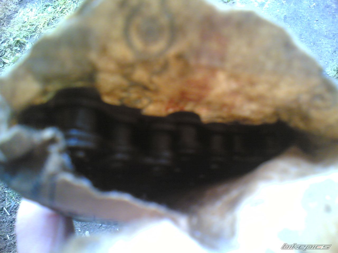 Photo 1299123