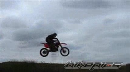 Photo 1299203