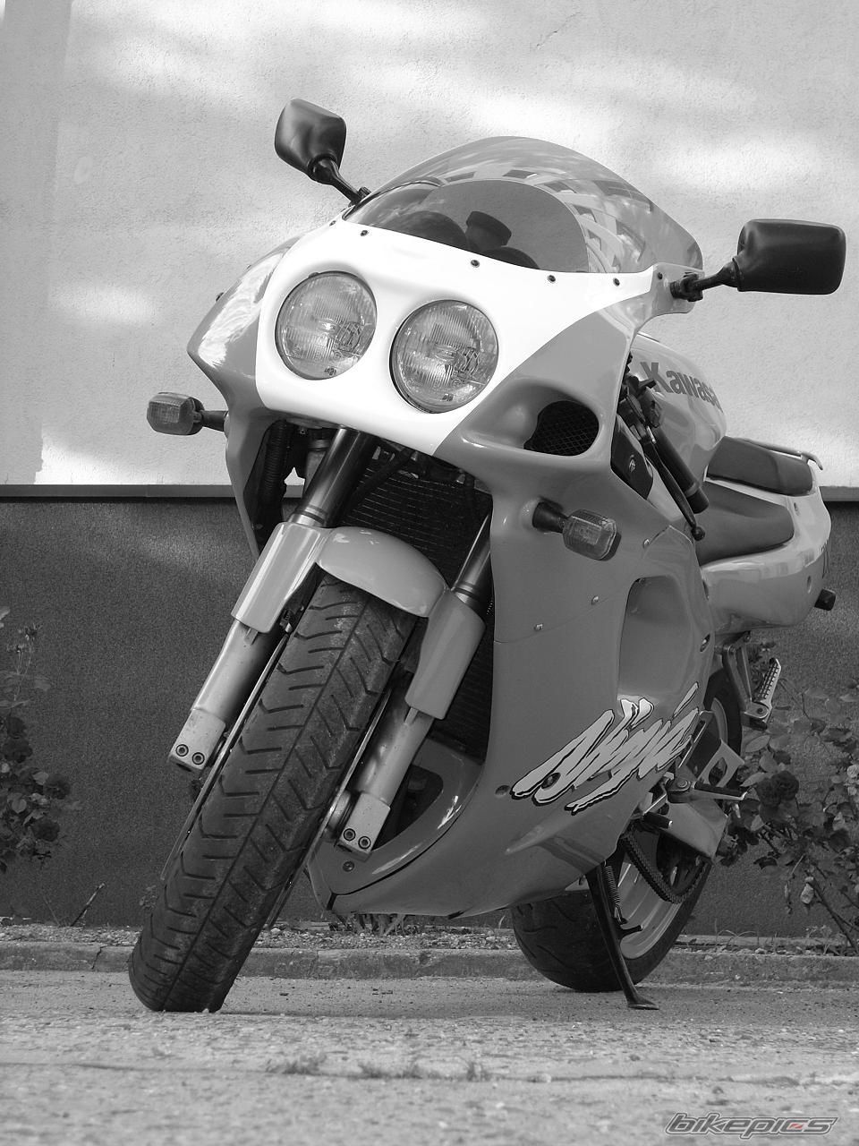 Photo 1299226