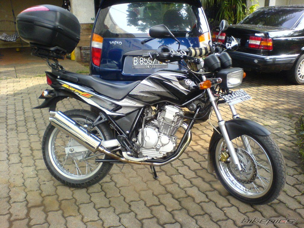Photo 1299244