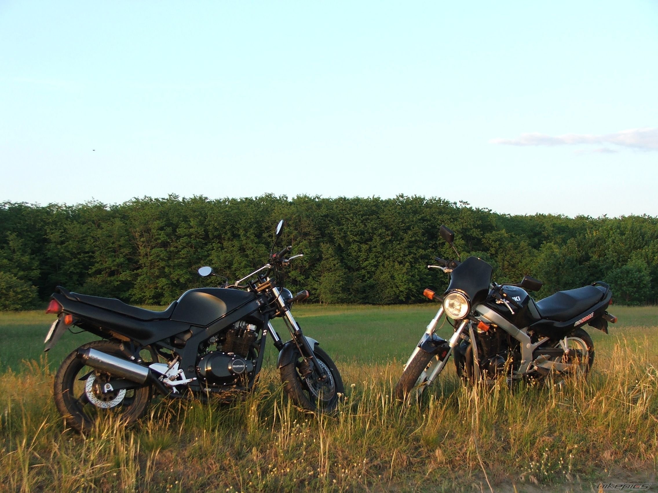 Photo 1299249