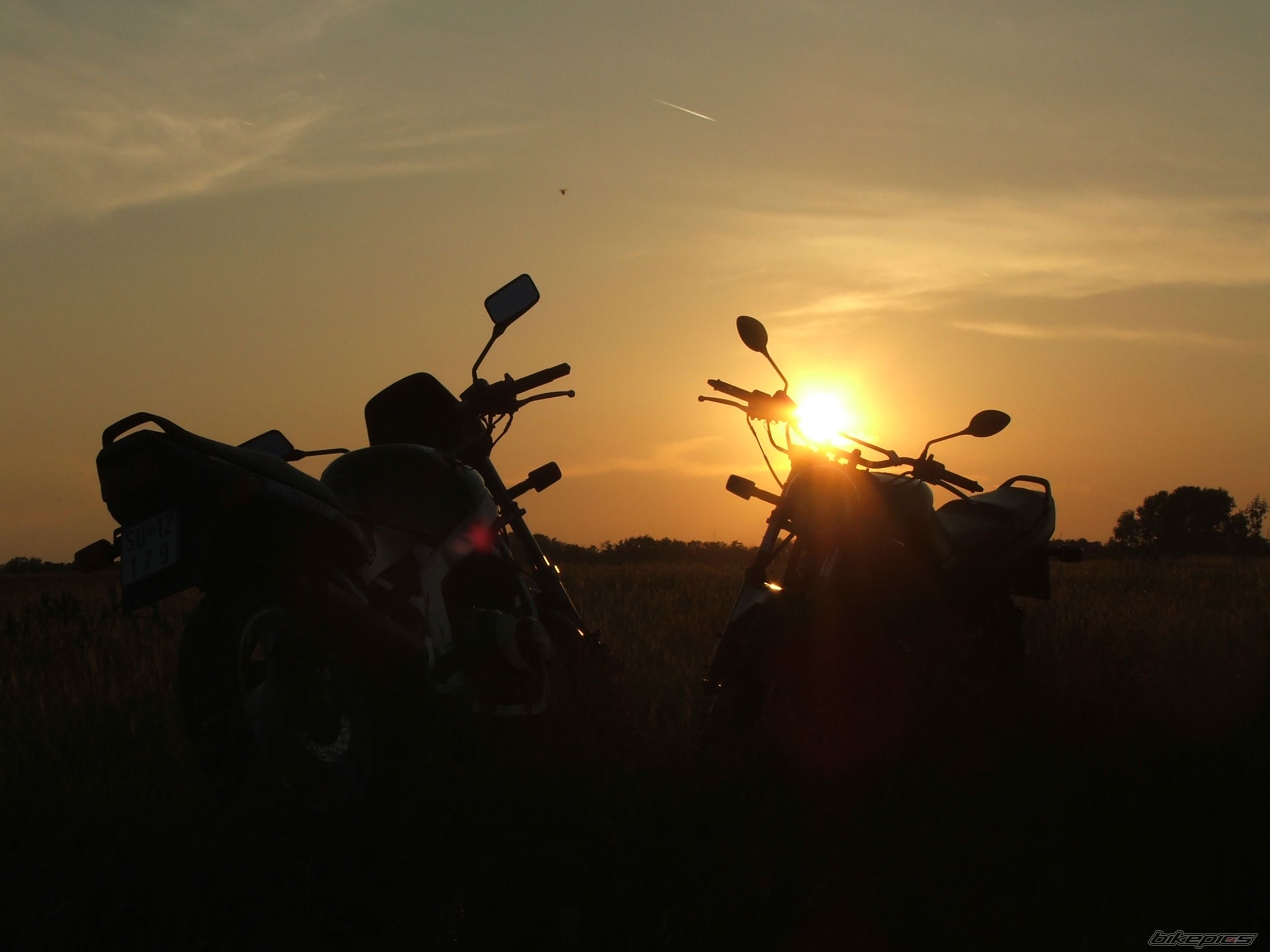 Photo 1299252