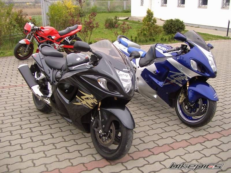 Photo 1299253